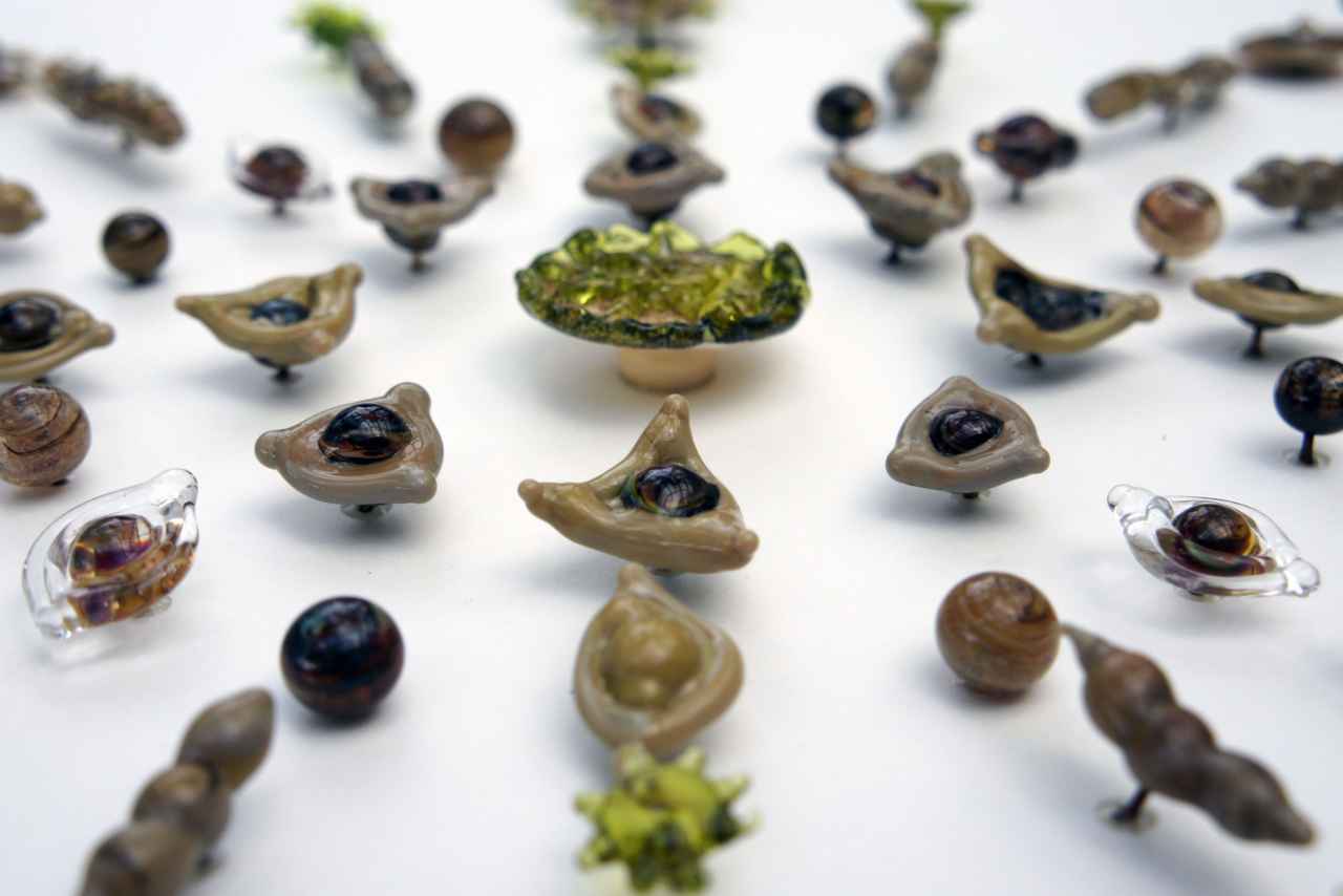 Diatom lampworked glass artwork by Isla Osborne