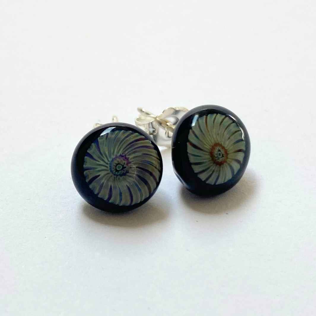 Limpet stud earrings by Wearing Glass.