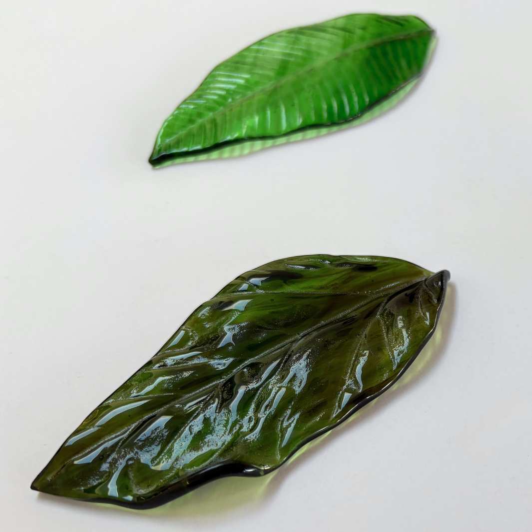 Glass Leaves