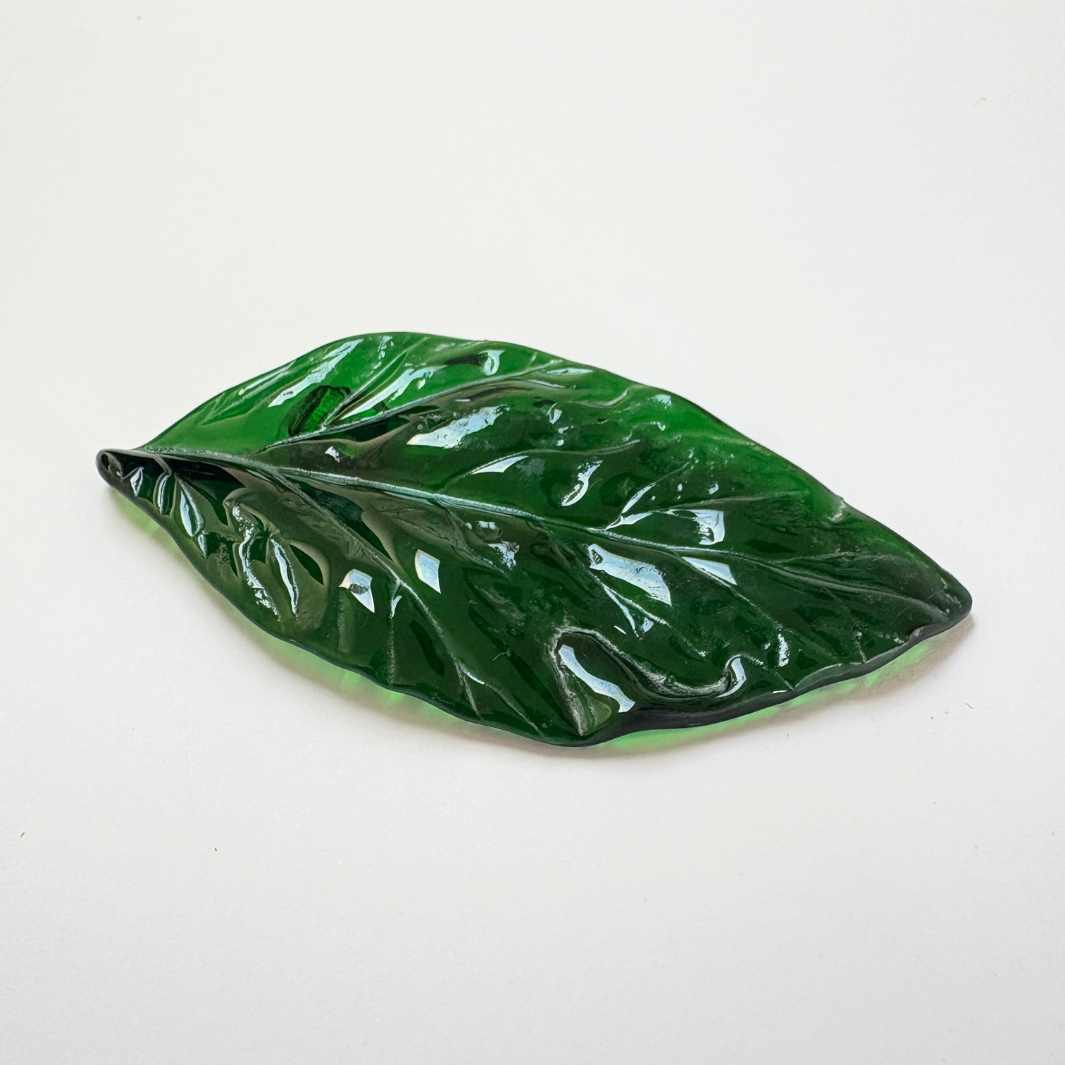 Wearing Glass | Leaf