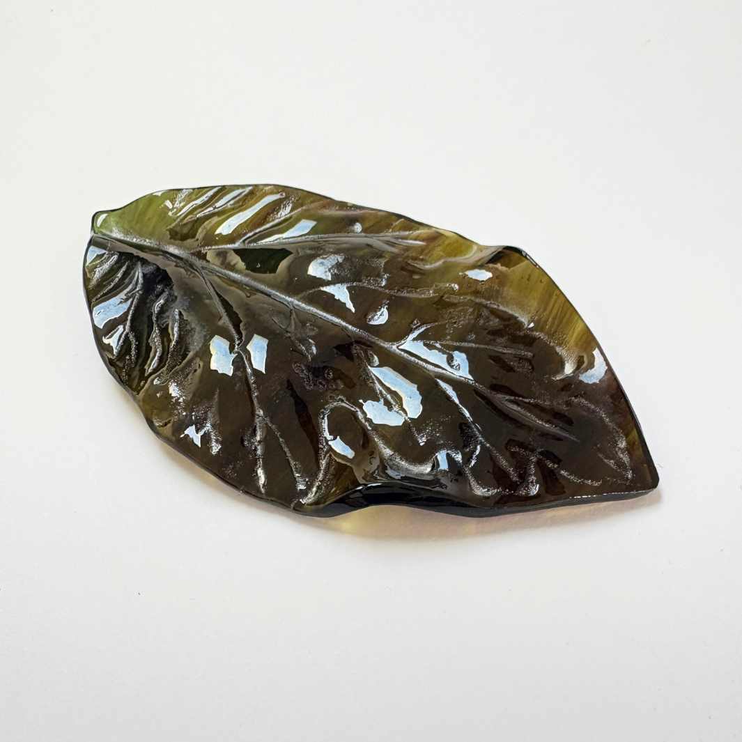 Wearing Glass | Leaf