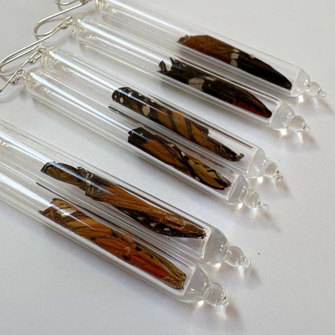 Wearing Glass | Butterfly Earrings