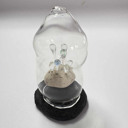 Isla Osborne | Fascinarium | Pumice 1