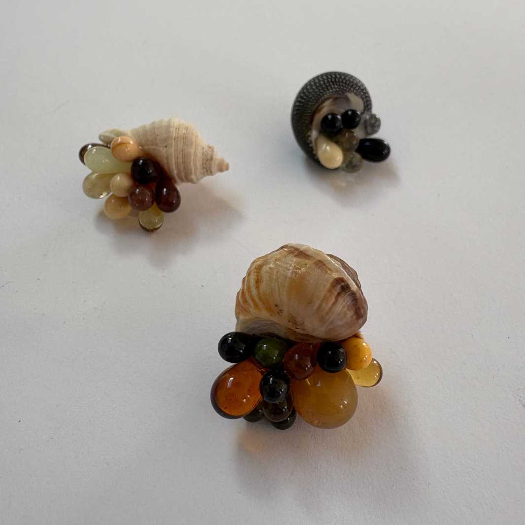 Isla Osborne | Fascinarium | Shell