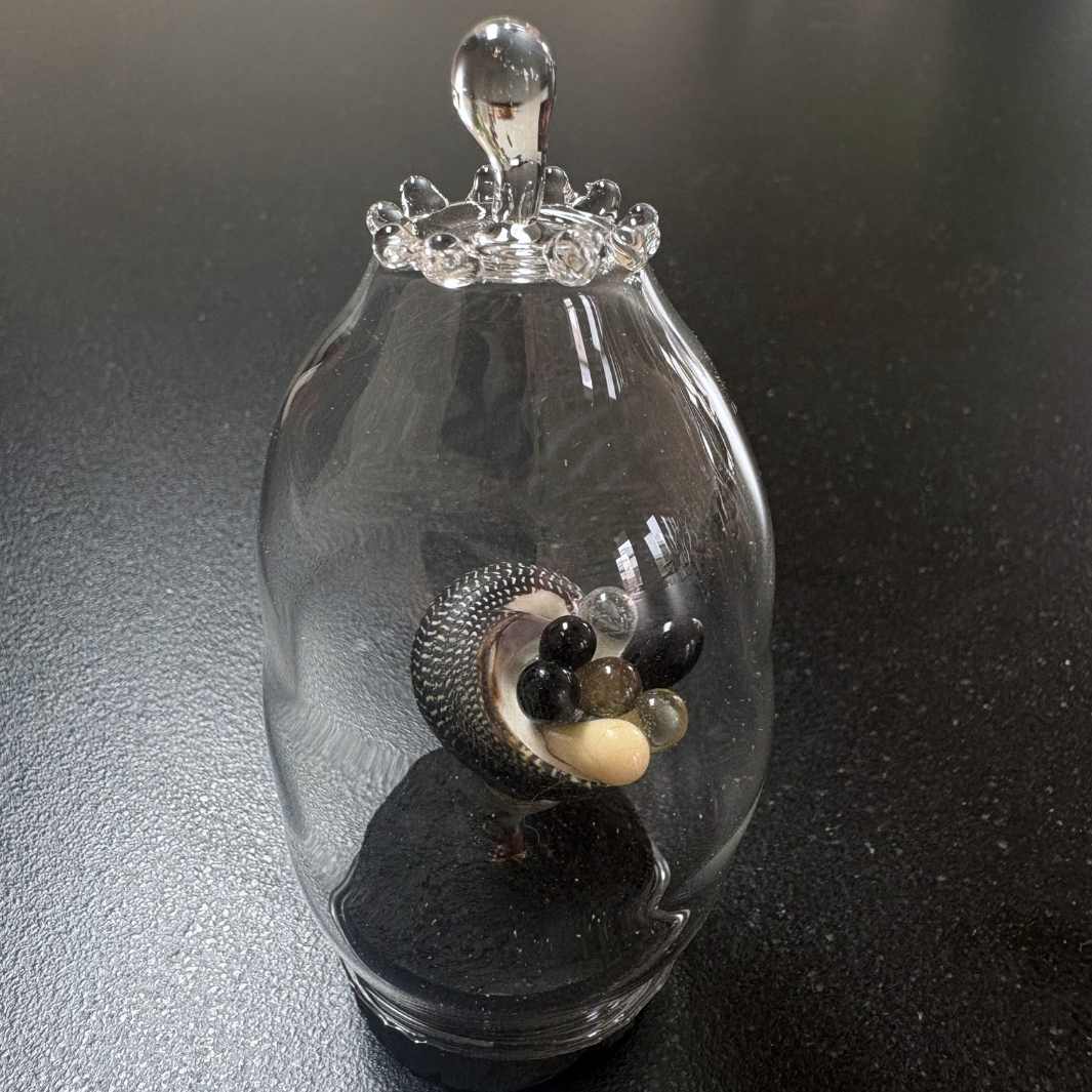 Bloom | Te Awaroa Exhibition | Art Kaipara