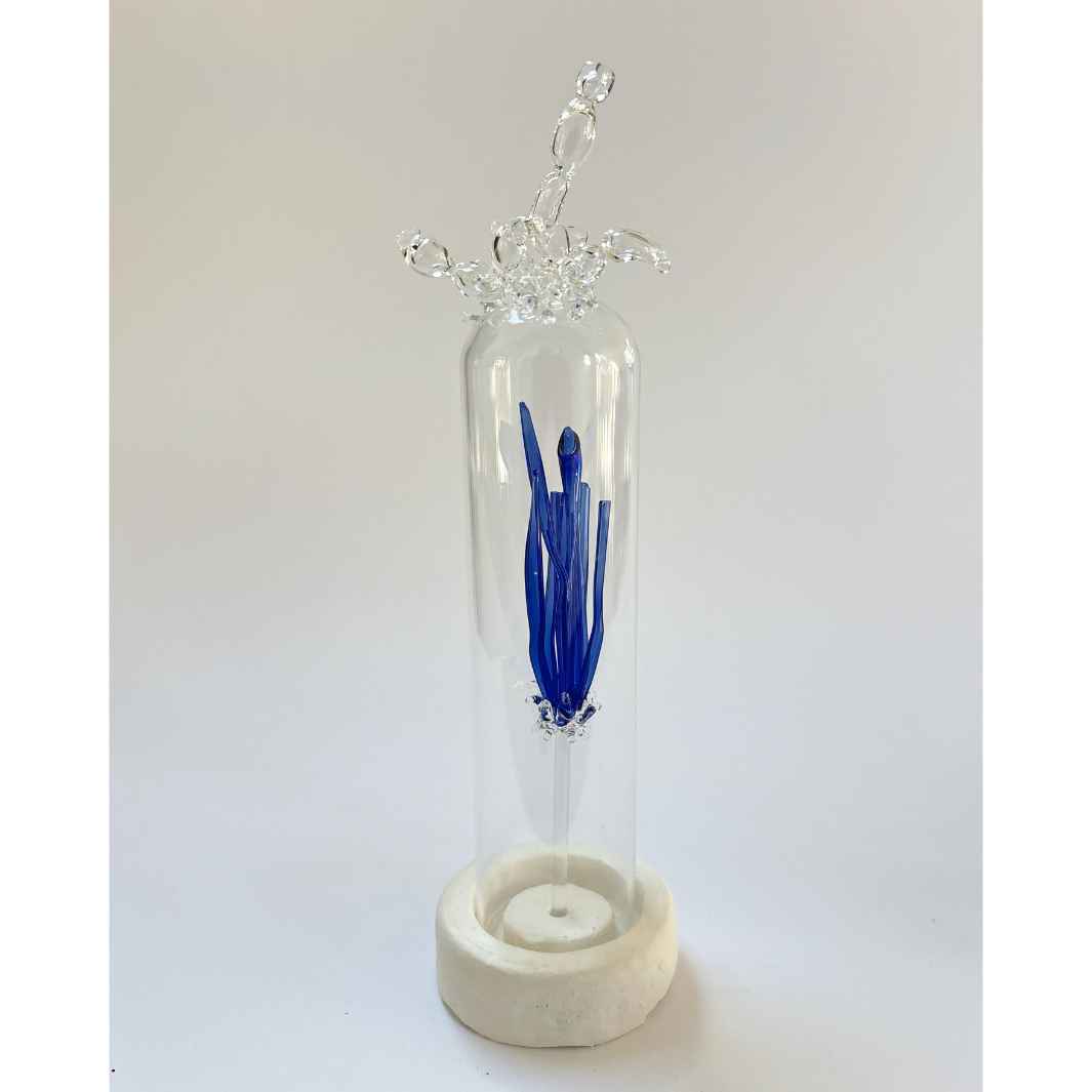 Isla Osborne | Sea Reliquary | Artist Proof