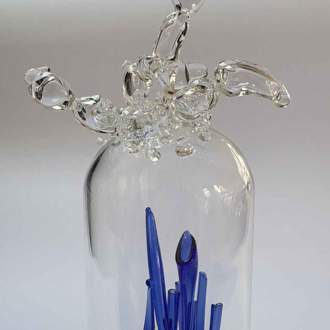 Isla Osborne | Sea Reliquary | Artist Proof