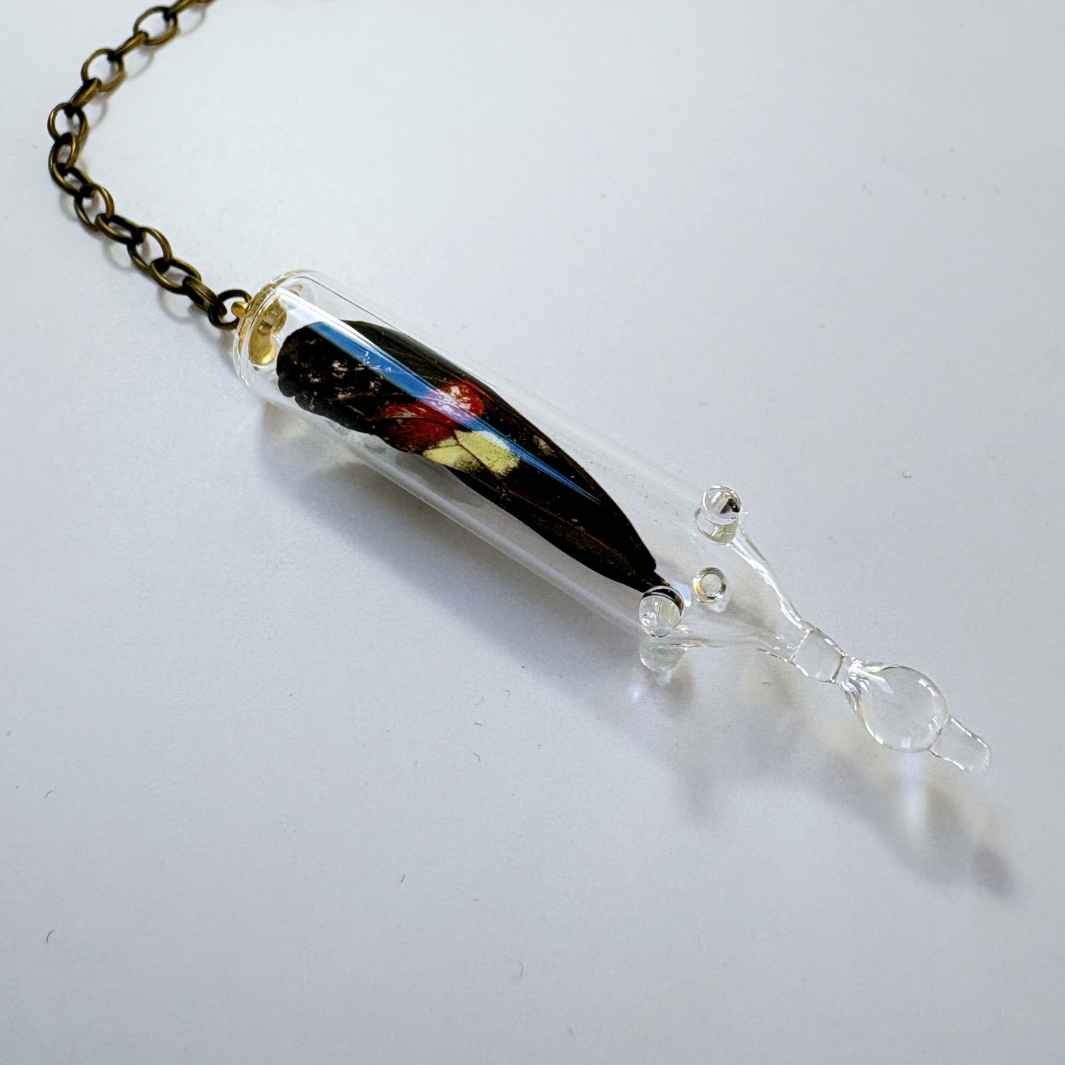 Isla Osborne | Reliquary