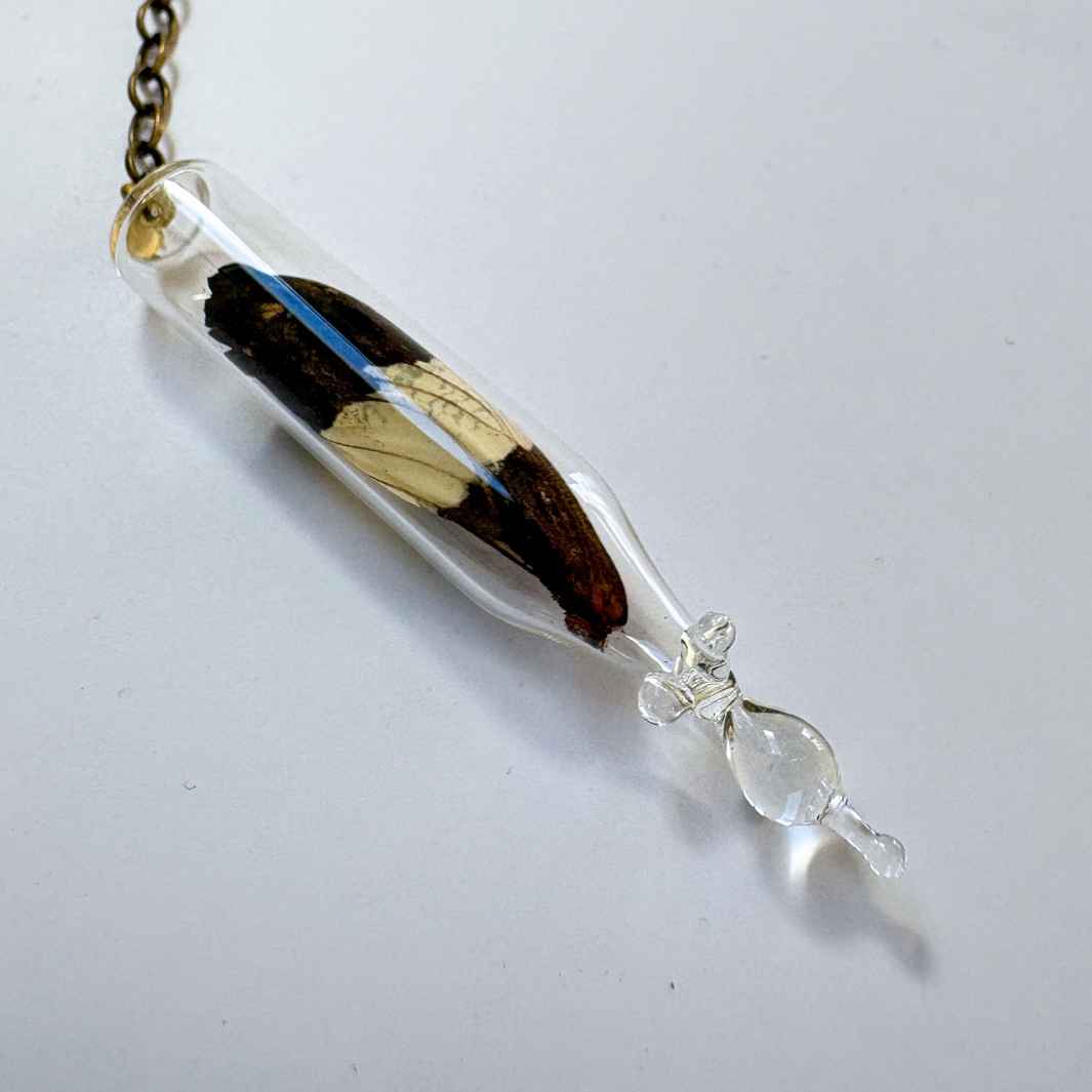 Isla Osborne | Reliquary
