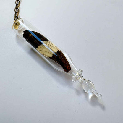 Isla Osborne | Reliquary