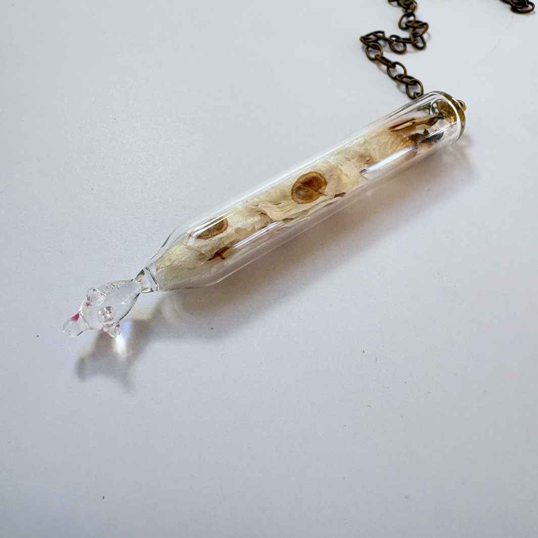 Isla Osborne | Reliquary