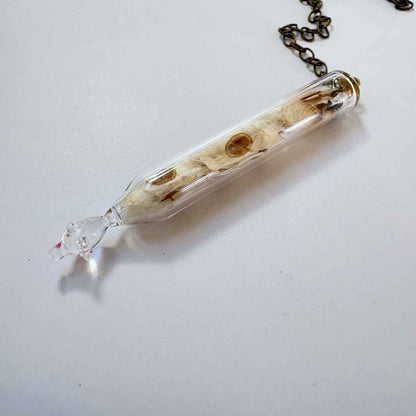 Isla Osborne | Reliquary