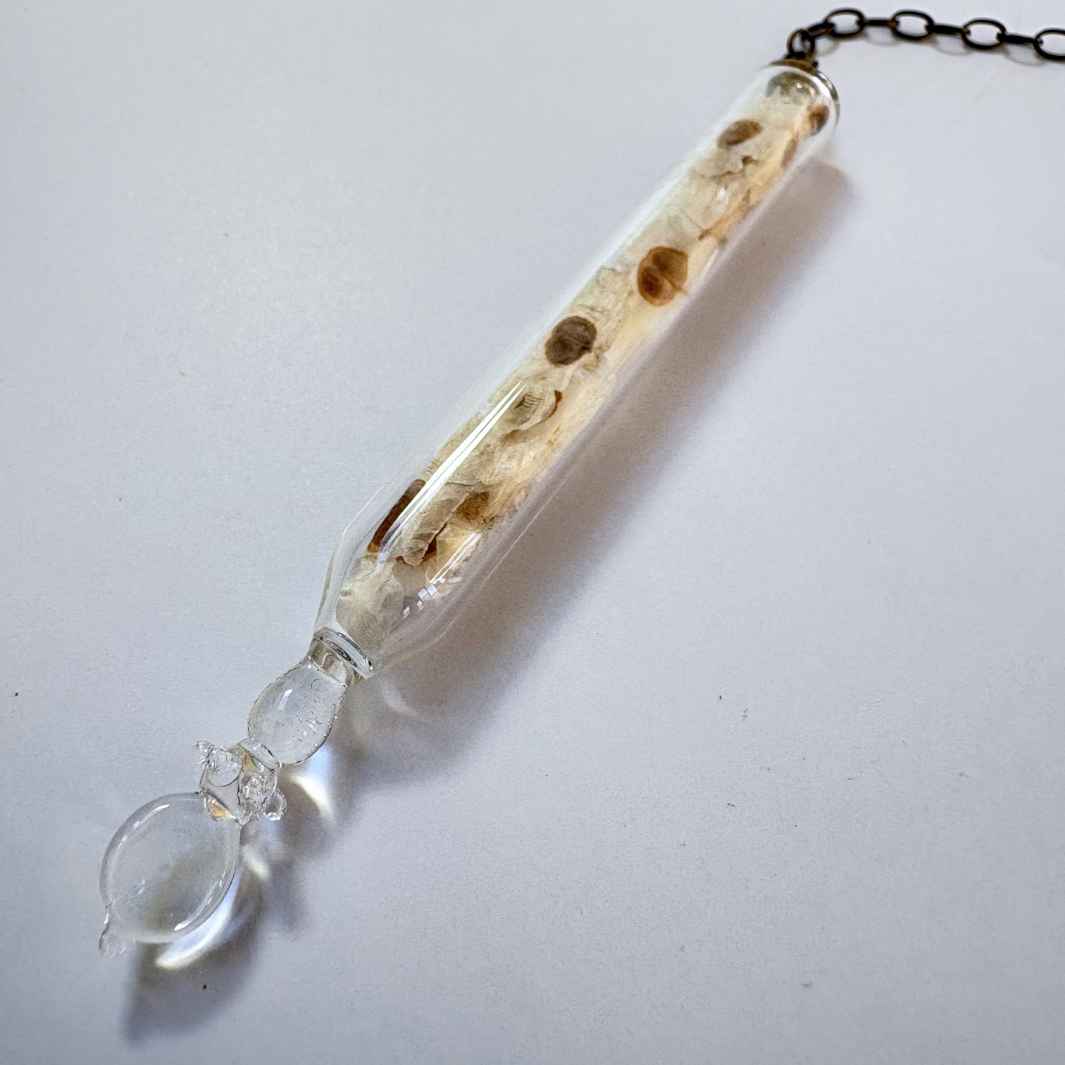 Isla Osborne | Reliquary