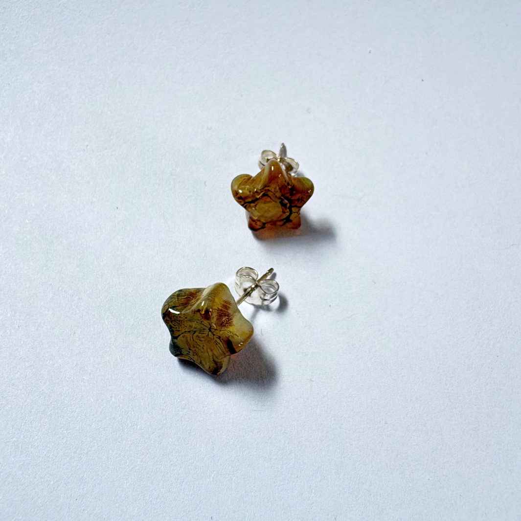 Wearing Glass | Star Studs