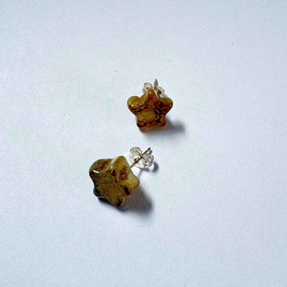 Wearing Glass | Star Studs