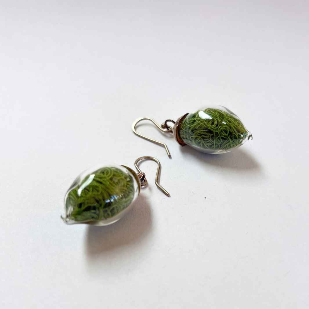 Wearing Glass | Pod Earrings