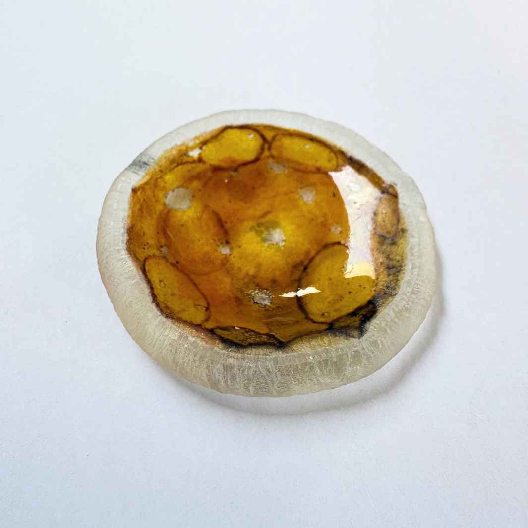 Wearing Glass | SALE | Trinket Dish