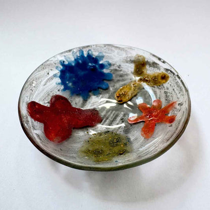 Wearing Glass | SALE | Trinket Dish