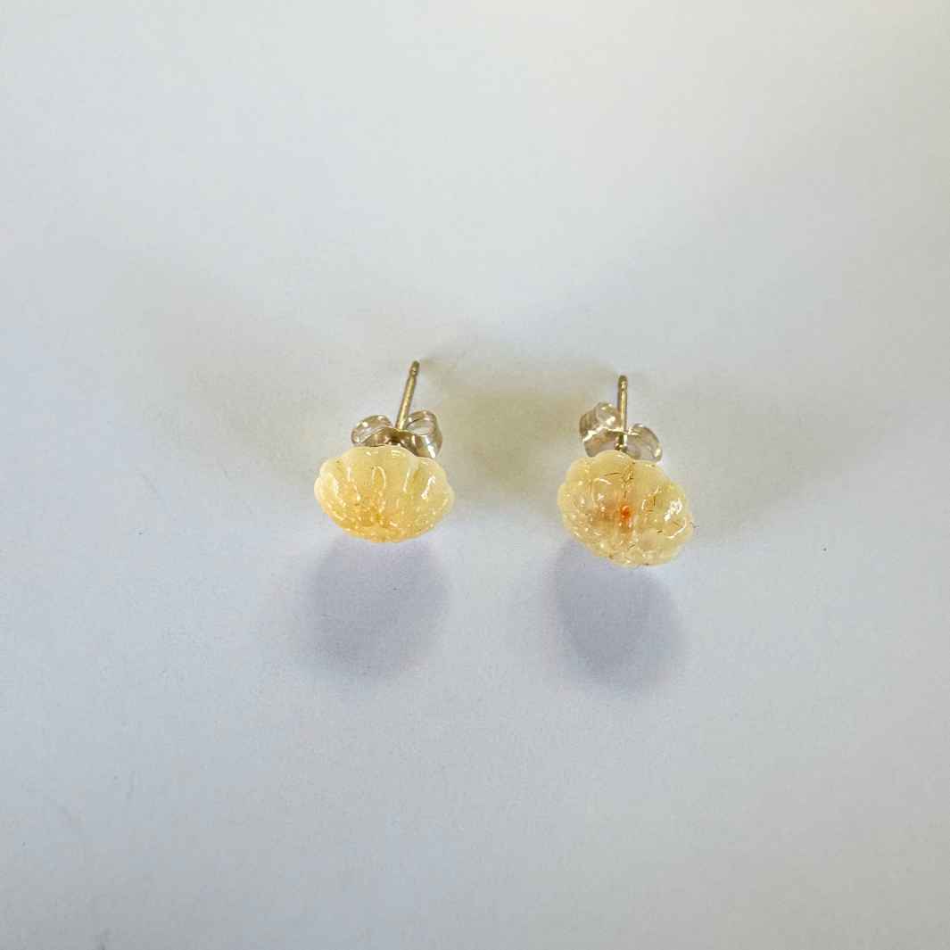 Wearing Glass | Kina Studs