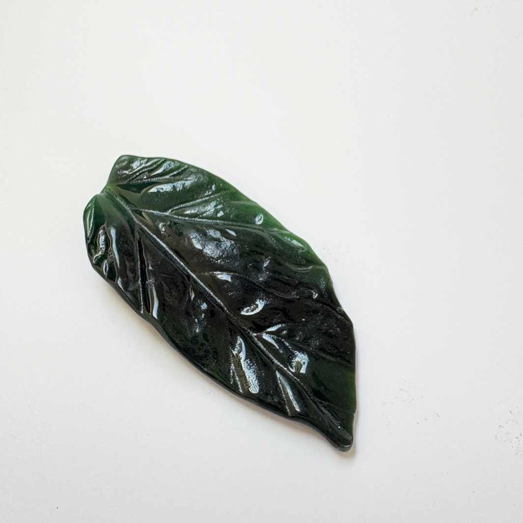 Wearing Glass | Leaf