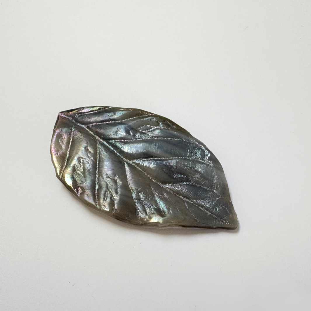 Wearing Glass | Leaf