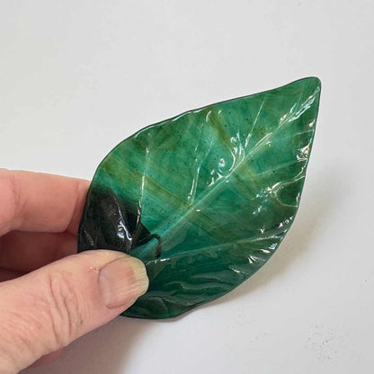 Wearing Glass | Leaf