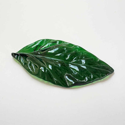 Wearing Glass | Leaf