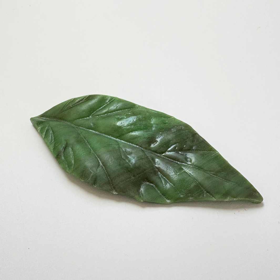 Wearing Glass | Leaf