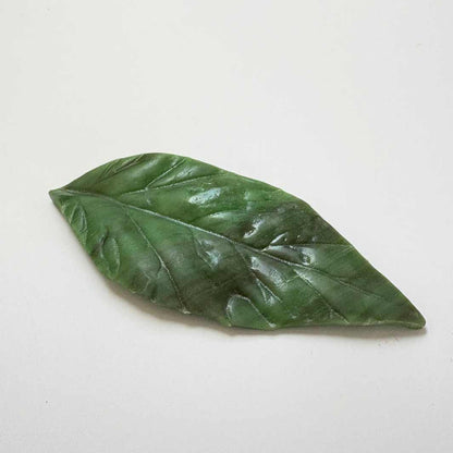 Wearing Glass | Leaf