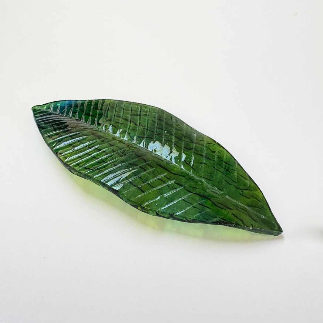 Wearing Glass | Leaf