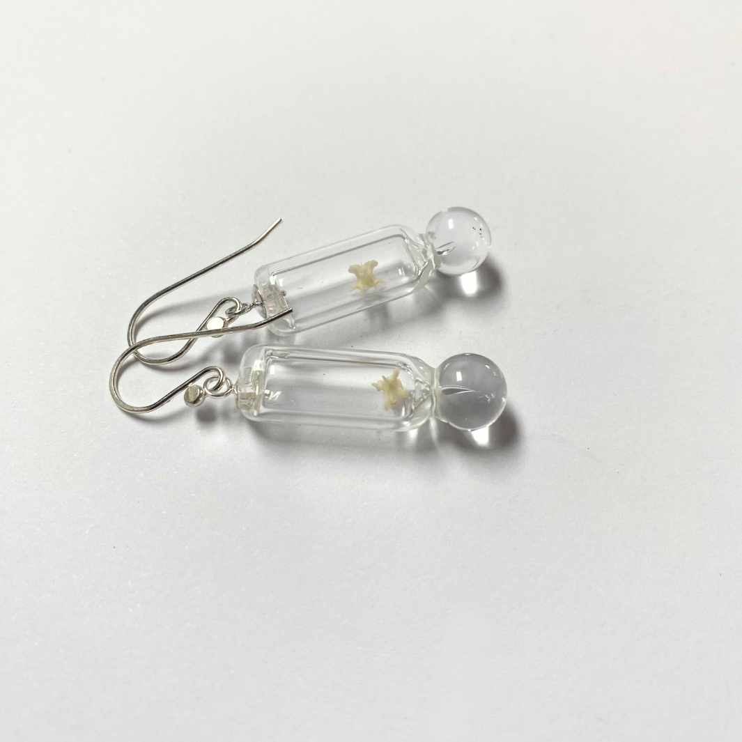 Wearing Glass | Bone Earrings