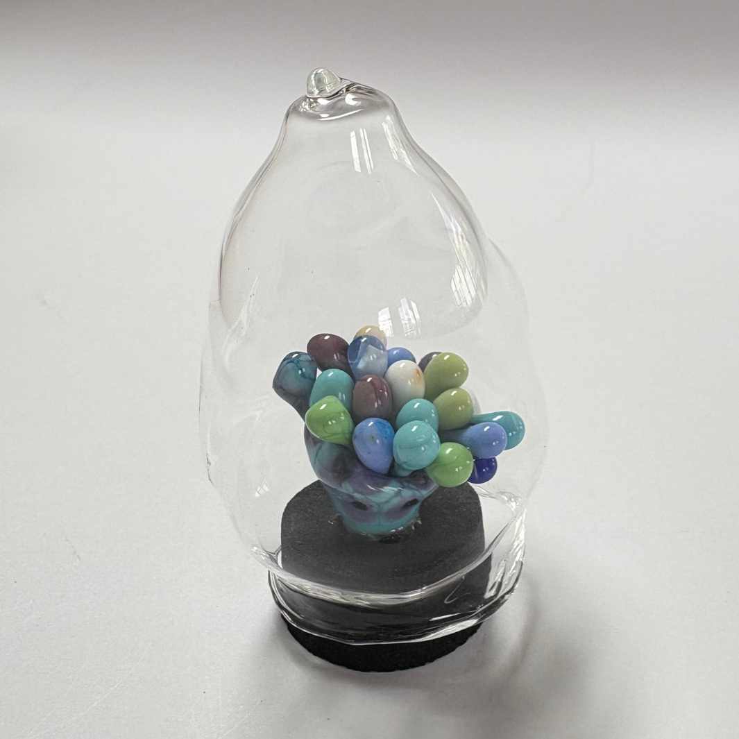 Isla Osborne | Fascinarium | Glass 1