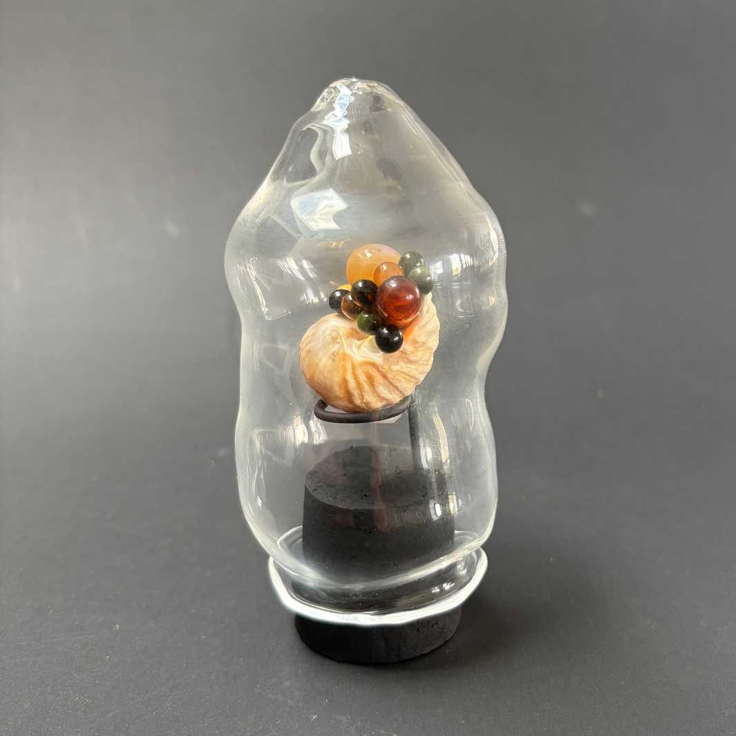 Isla Osborne | Fascinarium | Shell