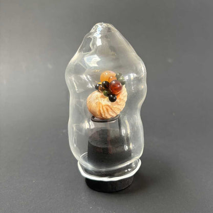Isla Osborne | Fascinarium | Shell