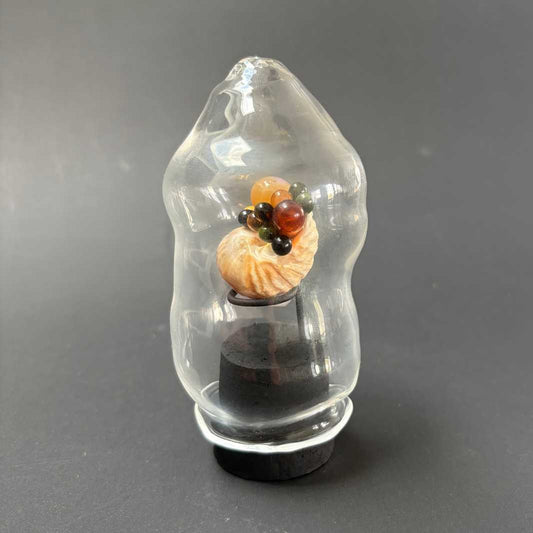Isla Osborne | Fascinarium | Shell